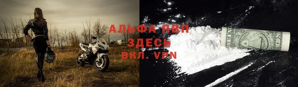 гашик Алексеевка