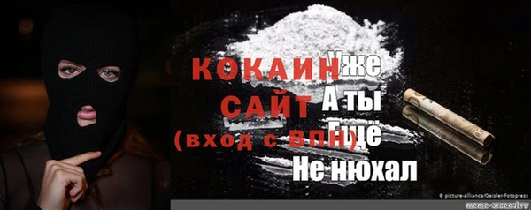гашик Алексеевка