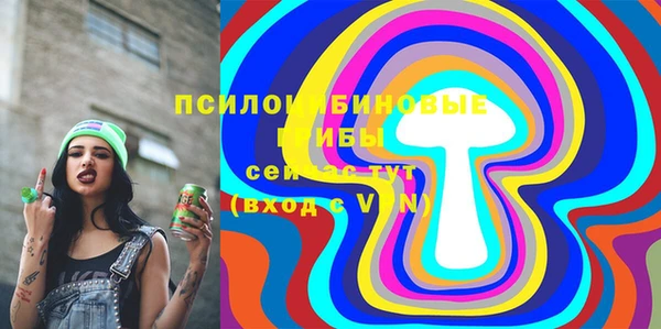 гашик Алексеевка