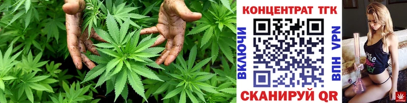 ТГК концентрат  Купить где  Шацк 