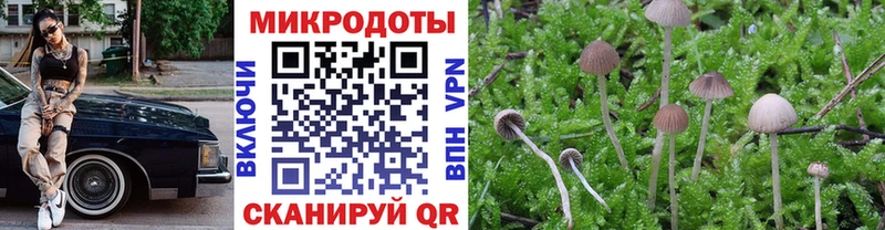 Купить закладки  Шацк  Псилоцибиновые грибы Psilocybine cubensis 